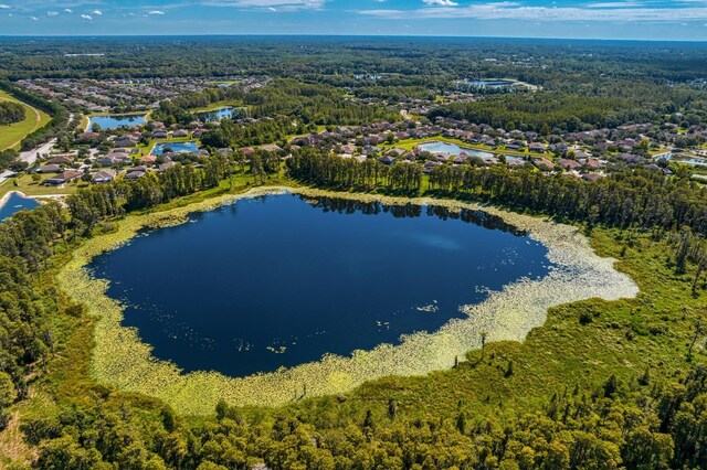 19407 Sweet Grass Way, Lutz, FL 33558 - drone / aerial view with a forest view and a water view