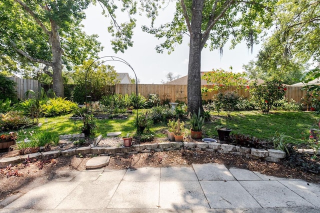 view of yard featuring a fenced backyard