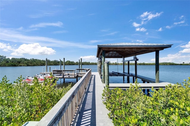 935 Chipaway Dr, Apollo Beach, FL 33572 - dock area with a water view and boat lift
