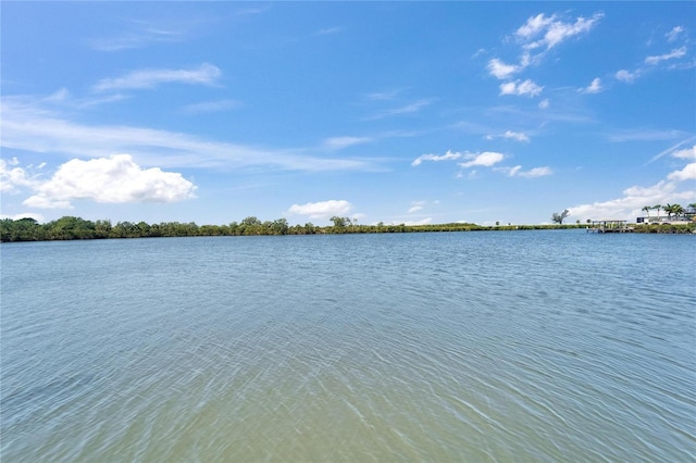 935 Chipaway Dr, Apollo Beach, FL 33572 - water view