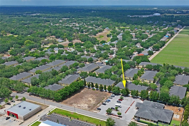 bird's eye view