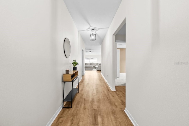10333 Scarlet Skimmer Dr, Riverview, FL 33578 - hall with light wood-type flooring and baseboards