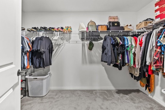 10333 Scarlet Skimmer Dr, Riverview, FL 33578 - spacious closet with carpet flooring