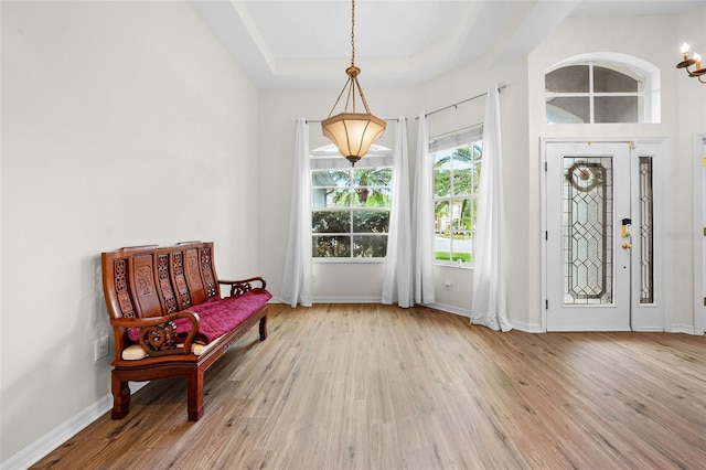 living area featuring a raised ceiling, wood finished floors, and baseboards