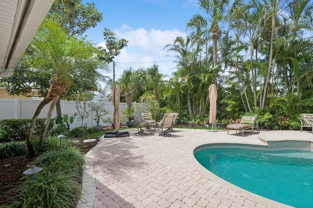 view of swimming pool featuring fence, a fenced in pool, and a patio area