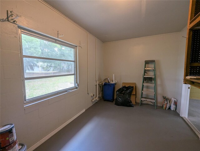 interior space with finished concrete flooring and a healthy amount of sunlight