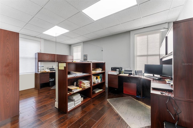 office space featuring dark wood-style floors and a drop ceiling