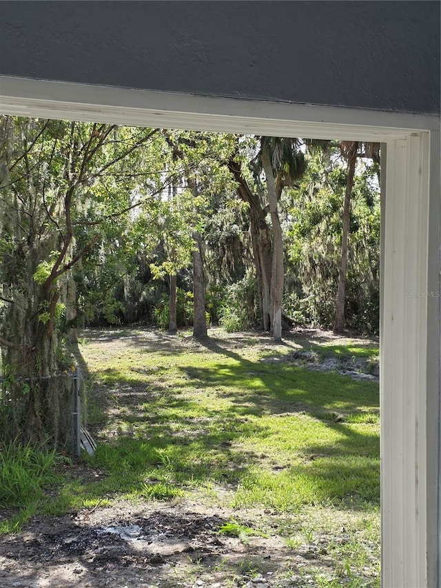 3911 6th Ave W, Palmetto, FL 34221 - view of grassy yard