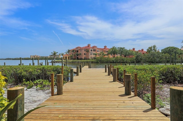 dock area with a water view