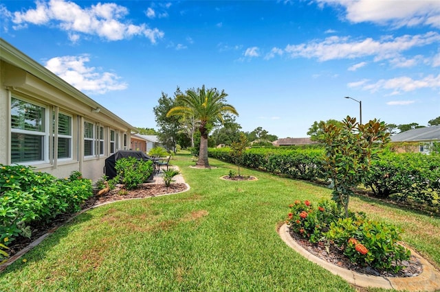 9335 Stonewall, New Port Richey, FL 34655 - view of green lawn