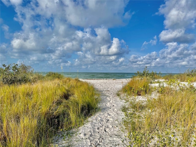 2254 Norwegian Dr Unit 46, Clearwater, FL 33763 - photo 37