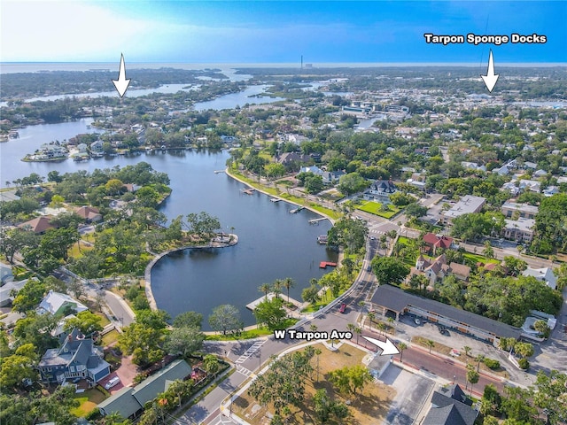 524 Doric Ct, Tarpon Springs, FL 34689