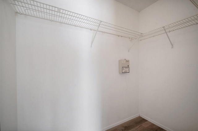 spacious closet with dark wood-style flooring