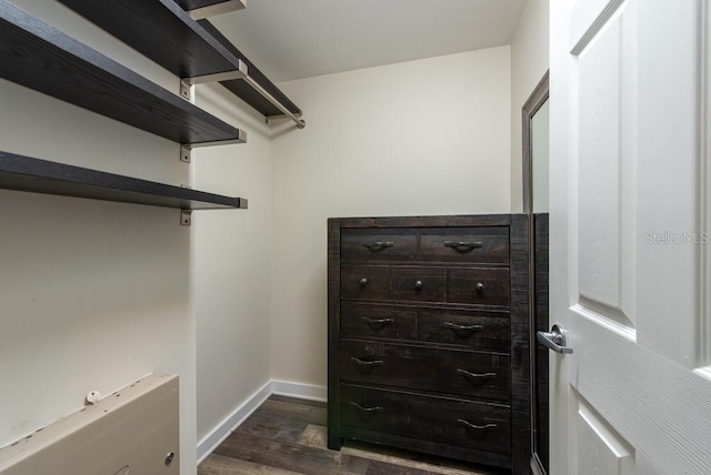 5008 S Macdill Ave Unit 10, Tampa, FL 33611 - spacious closet with dark wood-style flooring