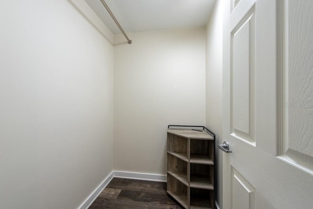 5008 S Macdill Ave Unit 10, Tampa, FL 33611 - walk in closet featuring dark wood-style flooring