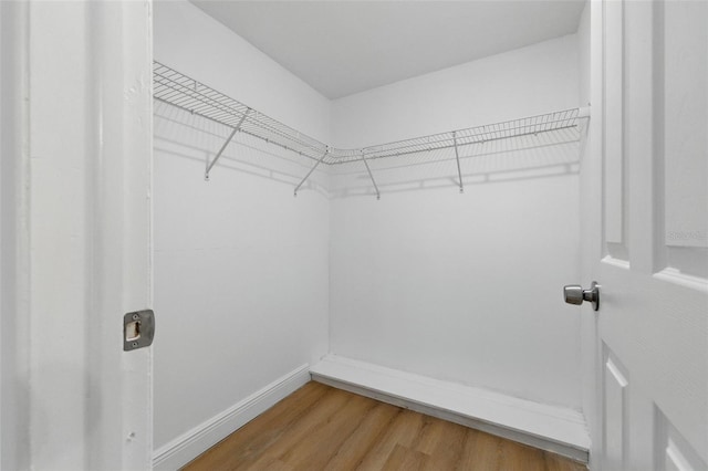 12601 Stone House Loop, Hudson, FL 34667 - walk in closet with light wood-type flooring