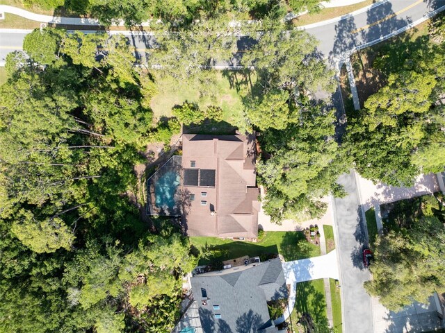 10 Greenhaven Cir, Oldsmar, FL 34677 - drone / aerial view