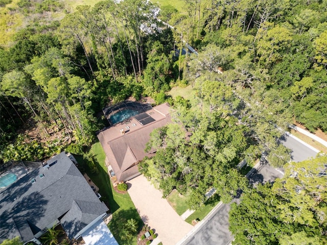 10 Greenhaven Cir, Oldsmar, FL 34677 - bird's eye view