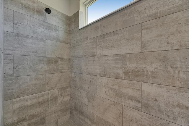 5814 Silver Sun Dr, Apollo Beach, FL 33572 - bathroom view of a tile shower