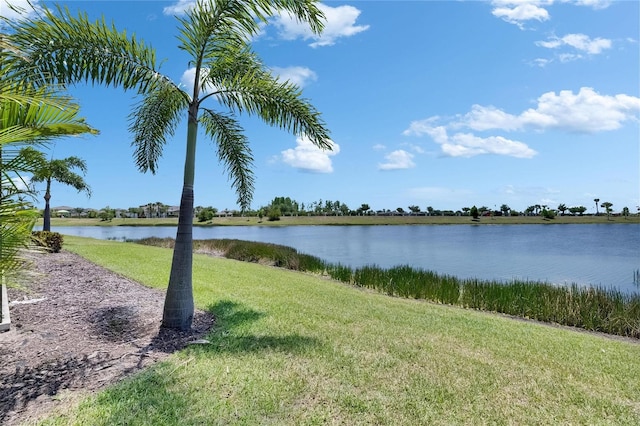 5814 Silver Sun Dr, Apollo Beach, FL 33572 - water view