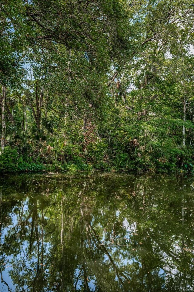 6423 Bass Rd, Weeki Wachee, FL 34607 - photo 31