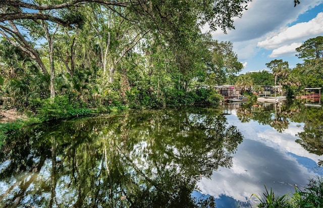 6423 Bass Rd, Weeki Wachee, FL 34607 - photo 32
