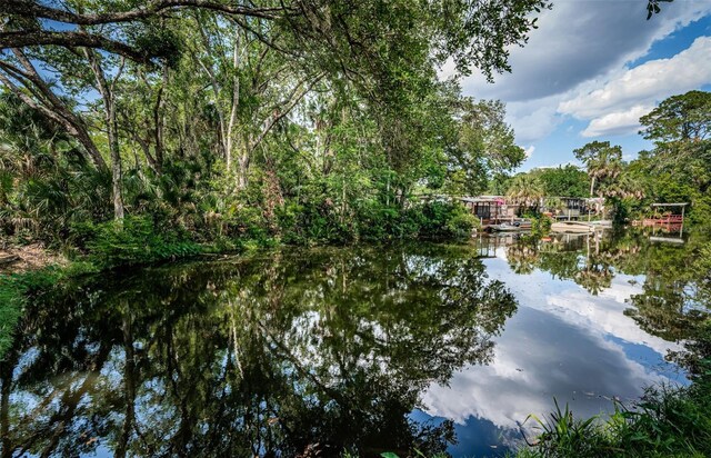 6423 Bass Rd, Weeki Wachee, FL 34607 - photo 33