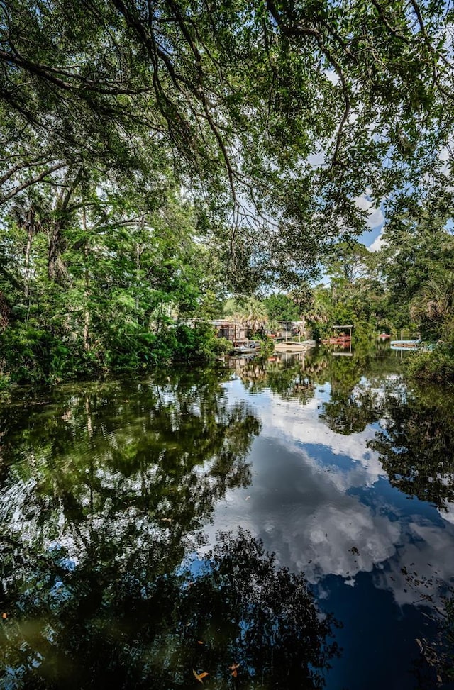 6423 Bass Rd, Weeki Wachee, FL 34607 - photo 34
