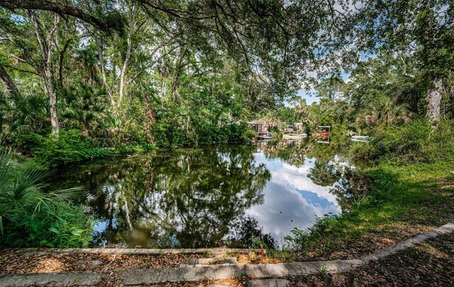 6423 Bass Rd, Weeki Wachee, FL 34607 - photo 35