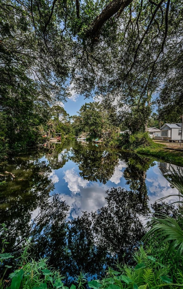 6423 Bass Rd, Weeki Wachee, FL 34607 - photo 36