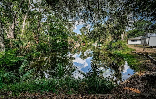 6423 Bass Rd, Weeki Wachee, FL 34607 - photo 37