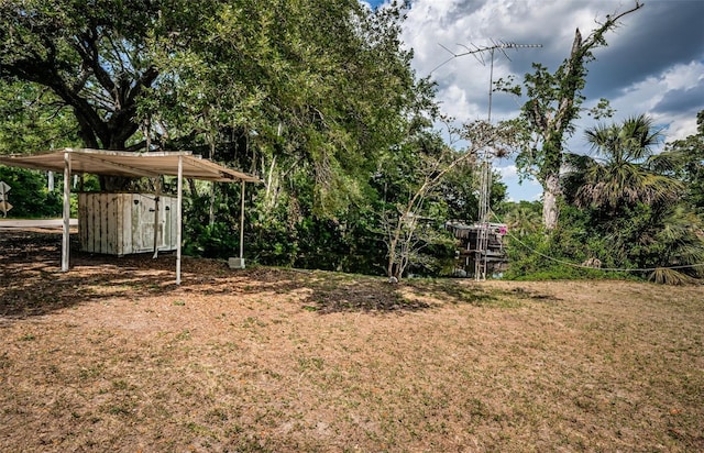 6423 Bass Rd, Weeki Wachee, FL 34607 - photo 43