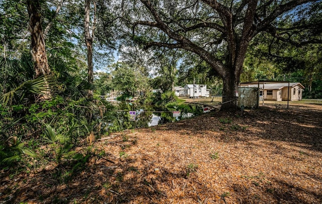 6423 Bass Rd, Weeki Wachee, FL 34607 - photo 44