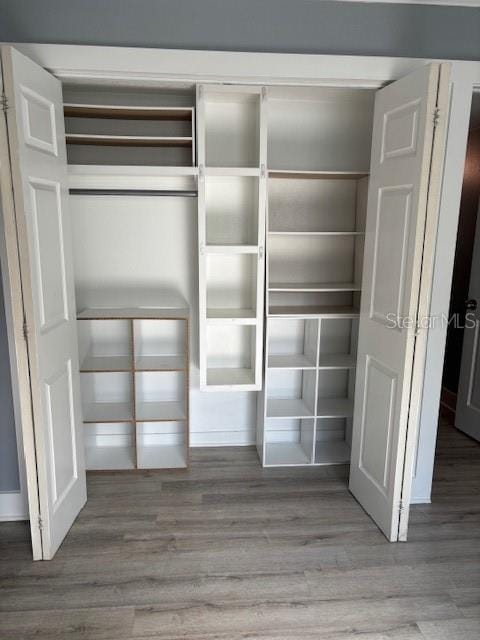 4127 Dolphin Dr Unit 4127, Tampa, FL 33617 - view of closet