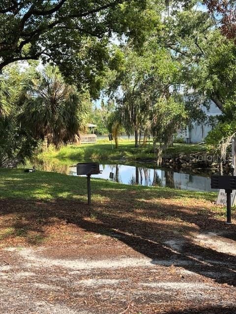 4127 Dolphin Dr Unit 4127, Tampa, FL 33617 - property view of water