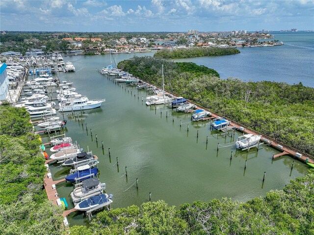 1332 Pasadena Ave S Unit 503, South Pasadena, FL 33707 - photo 43