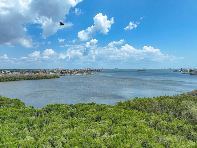1332 Pasadena Ave S Unit 503, South Pasadena, FL 33707 - photo 44