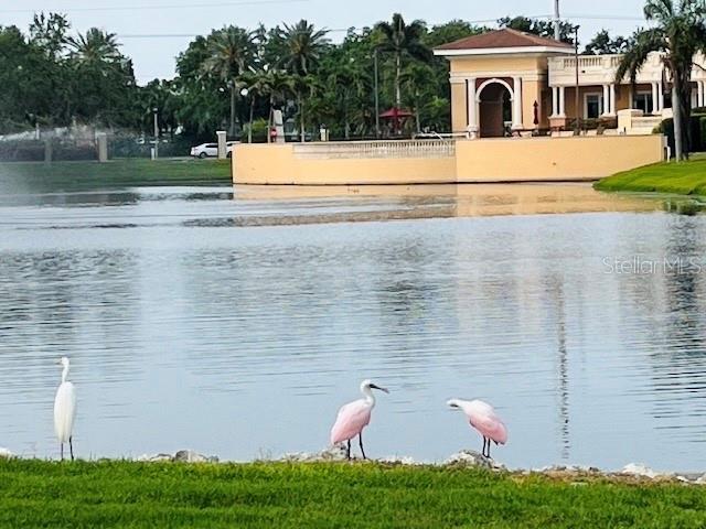 water view