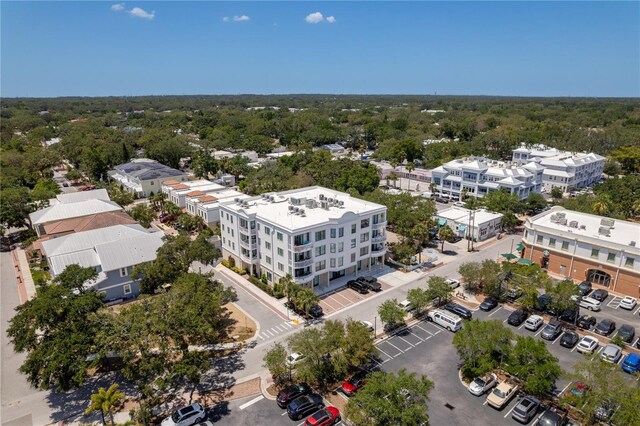 bird's eye view