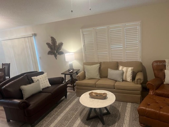 living room featuring a textured ceiling