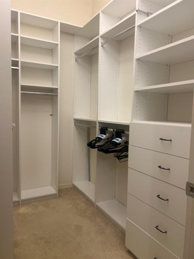 spacious closet with light carpet