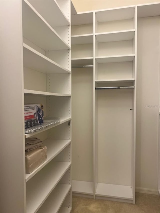 view of walk in closet