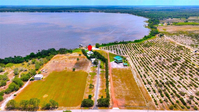 drone / aerial view with a water view and a rural view