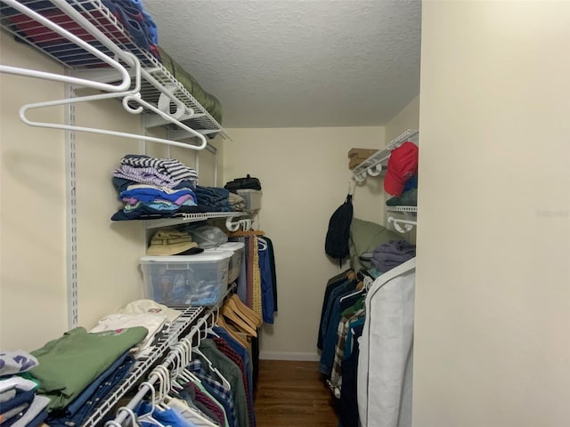 2643 Pine Ridge Way S Unit A1, Palm Harbor, FL 34684 - spacious closet with wood finished floors