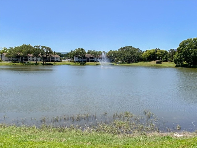 2643 Pine Ridge Way S Unit A1, Palm Harbor, FL 34684 - water view