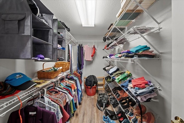 walk in closet with wood finished floors