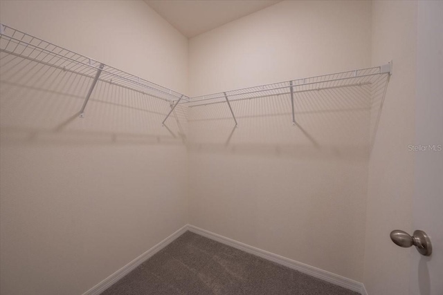 walk in closet with dark colored carpet