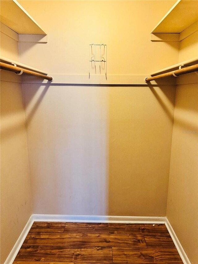 5660 80th St N Unit C101, Saint Petersburg, FL 33709 - walk in closet with dark wood-style floors