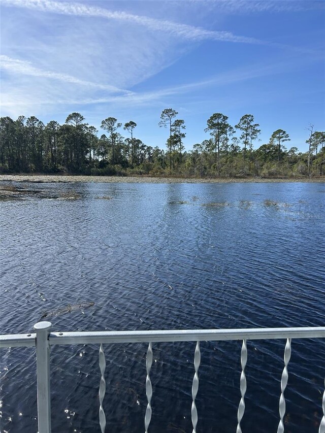 79 Eagle Pt S, Osteen, FL 32764 - photo 16