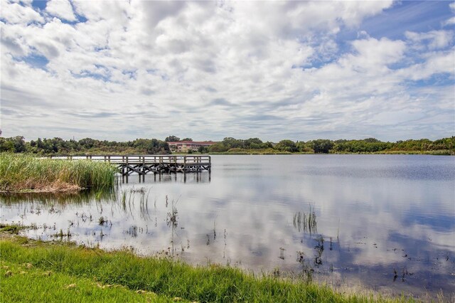2020 World Parkway Blvd Unit 14, Clearwater, FL 33763 - property view of water